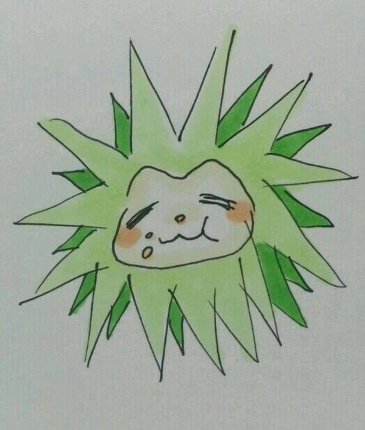 �y�p