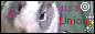 usa��Union