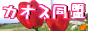 �J�I�X����