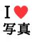 �ʐ^�D������