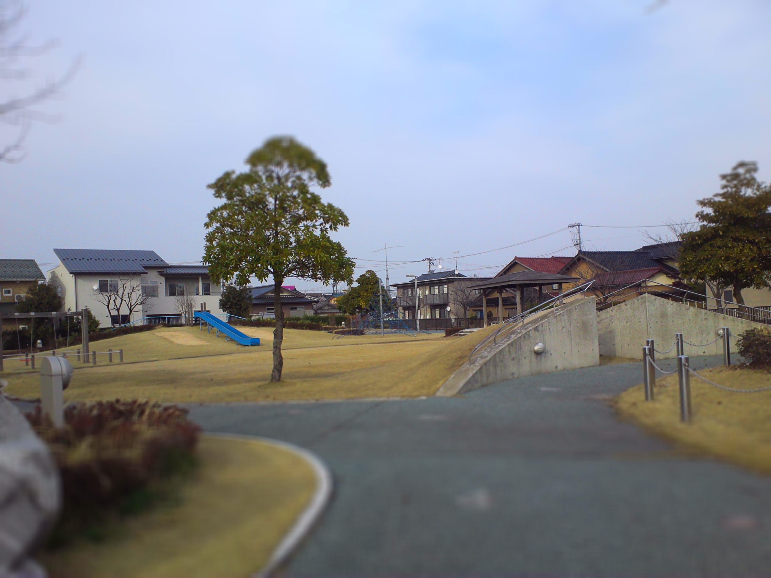 20130307_154732.jpg